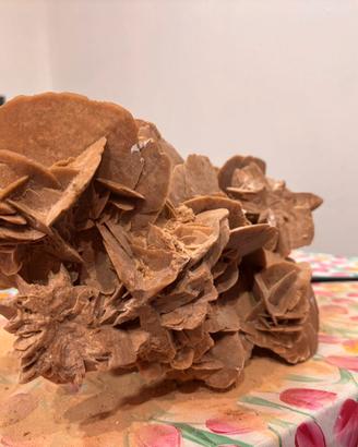 Rosa del deserto