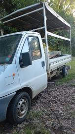 Furgone peugeot boxer centinato