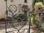 Immagine 2