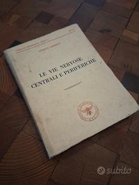 Le vie nervose centrali e periferiche, anno 1943