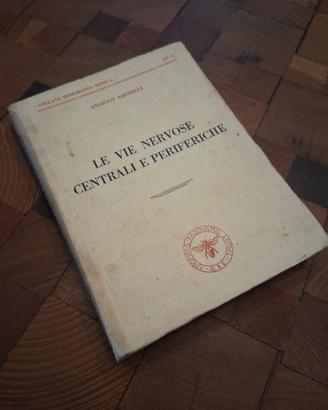 Le vie nervose centrali e periferiche, anno 1943