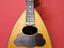 Immagine 1