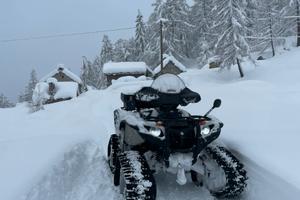 Yamaha grizzly con cingoli