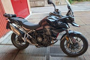 Triumph Tiget 900 GT