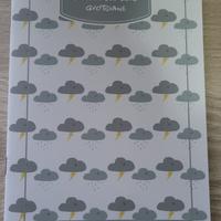 Quaderno delle piccole delusioni quotidiane