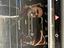 Immagine 14