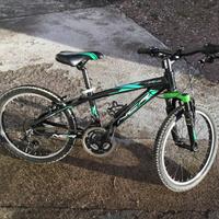 Bici 20