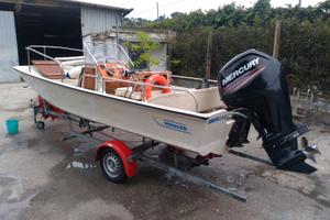 Boston Whaler 17 montauk