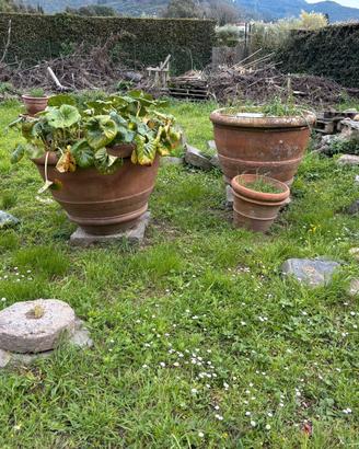 Conche terracotta e vasche in pietra