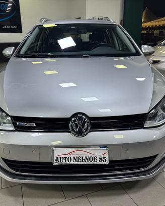 Volkswagen Golf Variant 1.4 TGI Executive 4 Free B