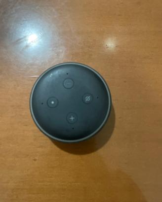 Alexa 1ª generazione prezzo bomba
