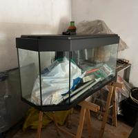 Acquario dolce e salato mare