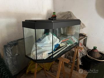 Acquario dolce e salato mare