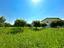 Immagine 12