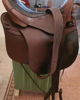 SELLA  PIONEER