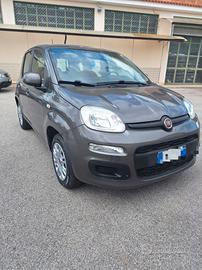 Fiat Panda 1.2 Easi 