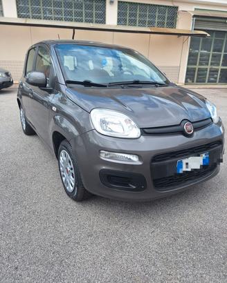 Fiat Panda 1.2 Easi 