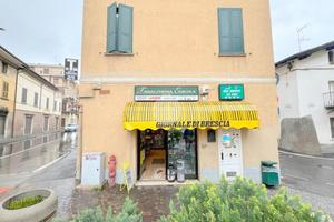 ATTIVITÀ A COCCAGLIO