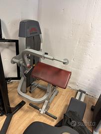 Macchina tricipiti professionale Johnson