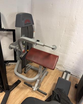 Macchina tricipiti professionale Johnson