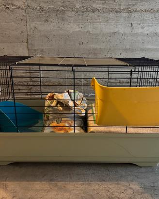 Gabbia per coniglio come nuova