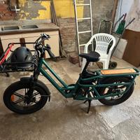 Fiido T2 Longtail Cargo Bici Elettrica Fat Bike