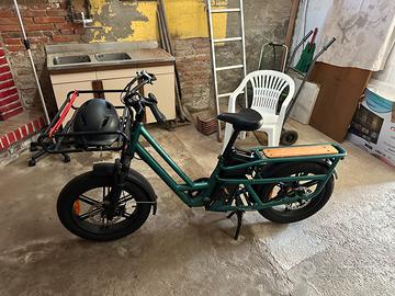 Fiido T2 Longtail Cargo Bici Elettrica Fat Bike
