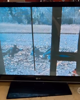 LG 42PT353 TV Plasma HD Ready