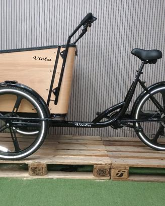 Cargo Bike Sun 2 e 4 posti