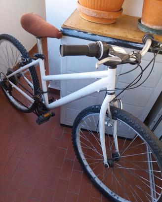 bici mountain bike ragazzo/a