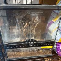 Terrario Exoterra 30x30x30