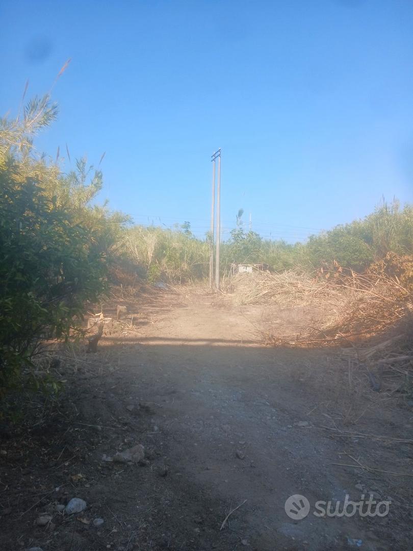 Terreno 1000 mq zona altavilla milicia - Vista 3