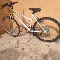 MTB donna 