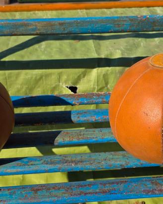 Palle mediche da collezione
