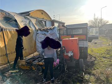 legna da spaccare e trasportare