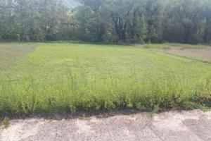 RGE 70/2021 - Tribunale di Urbino - Lotto 5