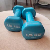Coppia pesetti Decathlon