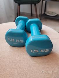 Coppia pesetti Decathlon