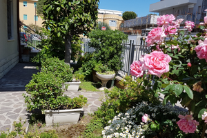 BILOCALE p. Terra a 50 mt dal Mare