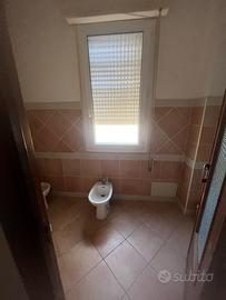 Si affita camera a studenti universitari