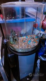 Acquario Tetra 40 LT