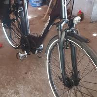 bici elettrica 
