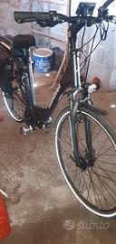bici elettrica 