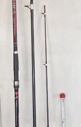 Canna da pesca ripartita