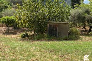 Terreno Agricolo Librizzi [Cod. rif 3079652VRG]