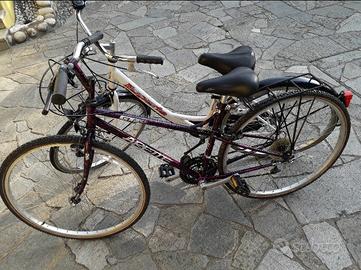biciclette 