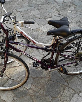 biciclette 