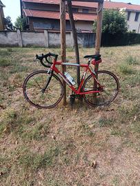 Bici da corsa Campagnolo Basso Coral 