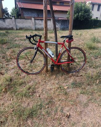 Bici da corsa Campagnolo Basso Coral 