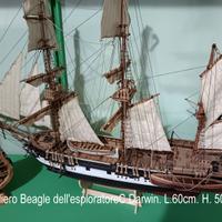 veliero Beagle Darwin